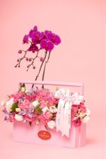 Cesta de orquidea "Encanto Rosado" - Imagem 3