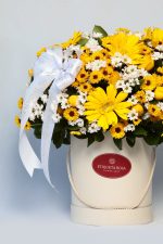 Etiqueta Hat box amarelo - Imagem 5