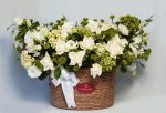 Cesta Pistache - Imagem 2