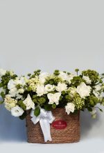 Cesta Pistache - Imagem 3
