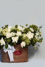 Cesta Pistache - Imagem 4