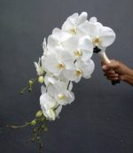 Buque de noiva de orquideas - Imagem 2